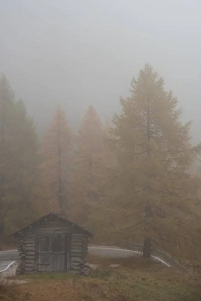 Ormanda Sonbahar Manzarası Vadideki Ahşap Kulübe Sarı Ağaçlar Talya Alplerinde — Stok fotoğraf