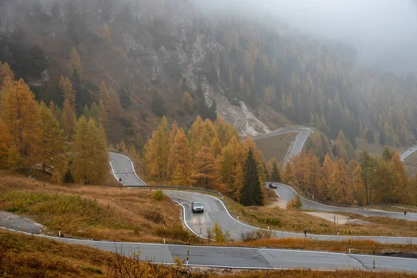 黄色と木の秋の風景と車が旅する山道を曲げました イタリアのサウスティロル — ストック写真