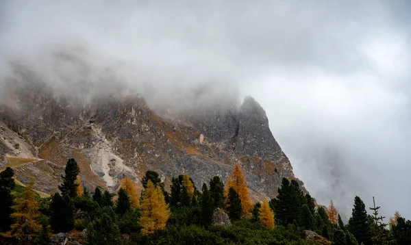 Осенний Лесной Пейзаж Долине Пассо Фальцарего Доломитный Хребет Италия Итальянские — стоковое фото