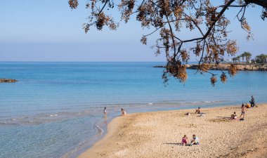 Protaras, Kıbrıs, 29 Ocak 2023: Kumlu kumsalda dinlenen, güneşlenen ve kışın yüzen turistler. Protaras incir ağacı körfezi Kıbrıs