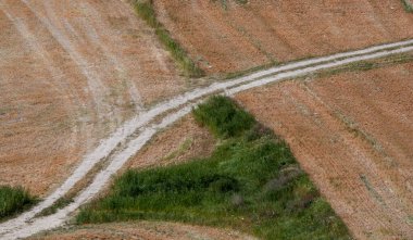 Yazın tarım arazisi tarlaları. Kırsal yol çayır arazisinden geçiyor. Kıbrıs