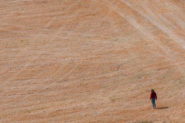 Bir tarlada dışarıda yürüyen genç bir kadın. Dışarıda yürüyüş yapmak. Sağlıklı yaşam tarzı.
