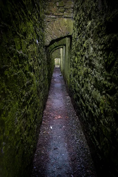 Charles Fort Castle Abandoned Historic Buildings Kinsale Ireland — стоковое фото