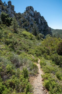 Dağlarda doğa yürüyüşü yolu. Doğa dağ yolu..