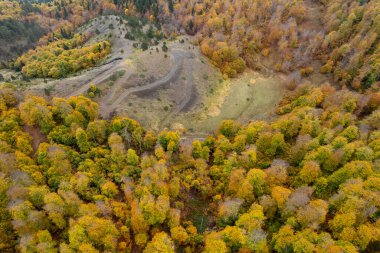 Autumn Forest Yolu 'nun insansız hava aracı antenleri. Sonbahar orman yolu, düşen yapraklarla sonbahar mevsimi manzarası. Epirus Yunanistan