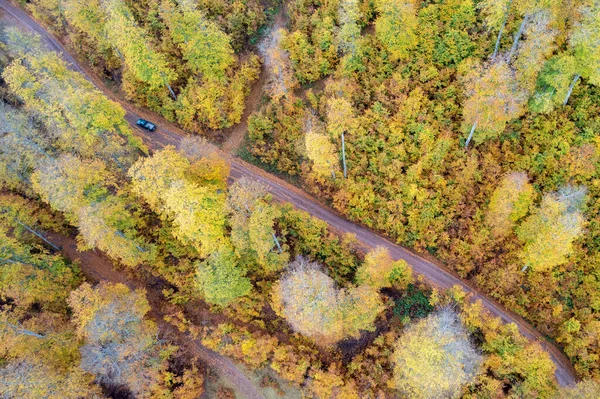 Drone aerial of Autumn forest road. View of autumn forest road with fallen leaves Fall season scenery. Epirus Greece