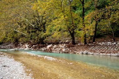 Nehir ağaçların arasından sarkan sarı yapraklarla, sonbahar mevsimi açık havada. Sonbahar cennet manzarası gibi. Yunanistan