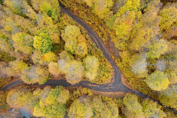 Autumn Forest Yolu 'nun insansız hava aracı antenleri. Sonbahar orman yolu, düşen yapraklarla sonbahar mevsimi manzarası. Epirus Yunanistan