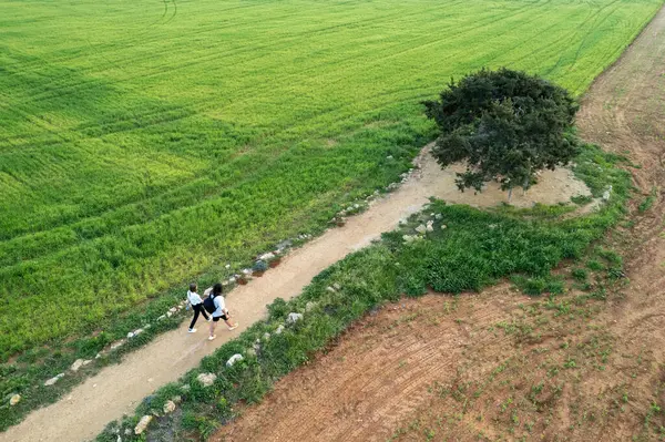 Drone view of people walking in nature. Young couple hiking in nature. Exploring and exercising outdoor.