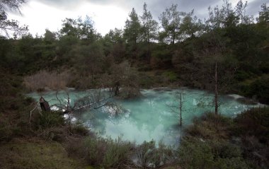 Dağ ormanı gölü manzarası. Mavi su, çam ağacı ormanlı doğal su deposu..