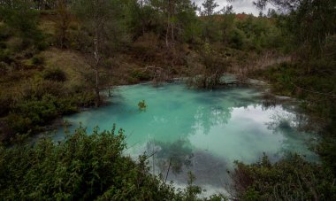 Dağ ormanı gölü manzarası. Mavi su, çam ağacı ormanlı doğal su deposu..