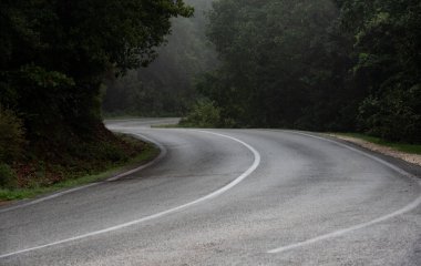 Boş asfalt bir orman boyunca kırsal yol kıvrımlı. Hayat mücadelesi kavramı.