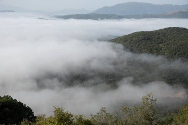 Dağın tepeleri şafak vakti sis ve sisle kaplıydı. Doğa manzarası. Epirus Yunanistan