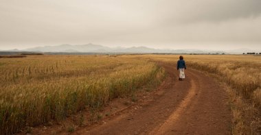 Bir tarlada dışarıda yürüyen genç bir kadın. Dışarıda yürüyüş yapmak. Sağlıklı bir yaşam tarzı. Kışın fırtınalı hava