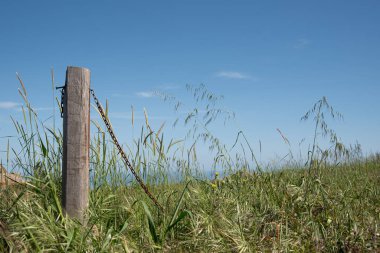 Sınır ahşap çit paslı zincir çiftlik arazisi, yeşil çimen mavi açık gökyüzü