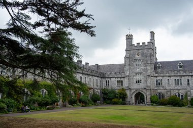 Üniversite mantar eğitimi ana bina ve bahçeler. Mantar Şehri İrlanda