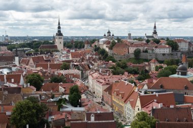 Tallinn Estonya şehir manzarası. Eski Tallin şehrinin Aziz Olaf Kilisesi 'nin kulesinden bir görüntü. Toompea Tepesi