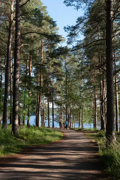 Stock image Person walking on a rural road in the forest near lake. People active outdoors. Healthy lifestyle. Kuopio Finland