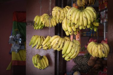 Sarı olgun muzlar. Markette muz satmak. Taze meyve, sağlıklı yaşam tarzı.