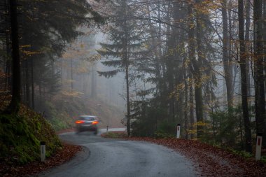Bulanık bir araba sisli bir sonbahar ormanında dolambaçlı bir yolda gidiyor.