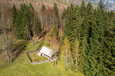 Idyllic küçük kulübe, canlı yeşil bir orman ve sonbahar ağaçları ile çevrili, çitli bir alanda huzurlu bir atmosfer yaratıyor.