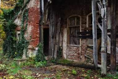 Kırık kapının etrafında büyüyen bitkiler ve terk edilmiş bir binanın parmaklıklı penceresi.