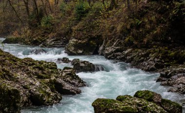 Sonbaharda hızla akan turkuaz su, kanayan, Slovenia yakınlarındaki Vintgar Vadisi 'ndeki kayalık bir geçitten dökülüyor.