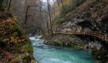 Turkuaz nehri sonbaharda tahta bir köprüyle ormanlık bir geçitten akar. Triglav Ulusal Parkı Slovenya