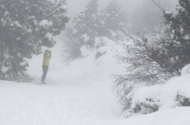Kar fırtınası sırasında kar altında kar altında yürüyen tanınmamış bir kadın. Troodos Ormanı Kış Zamanı