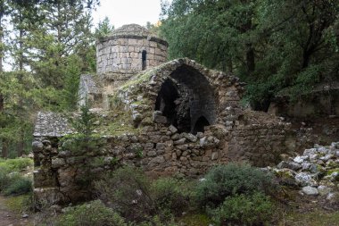 Kırılan duvarlar ve terk edilmiş Panayia Kriniotissa kilisesinin kubbesi, Kıbrıs 'ın yemyeşil ormanlarında saklanıyor.
