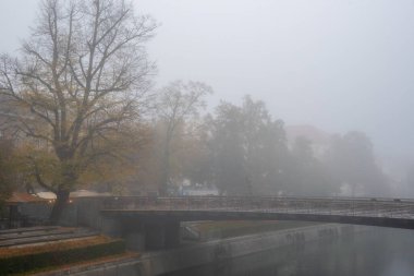 Ljubljanica nehri üzerindeki bir köprüyü ve Ljubljana, Slovana 'da bazı sarı yapraklı ağaçları kaplayan sis.