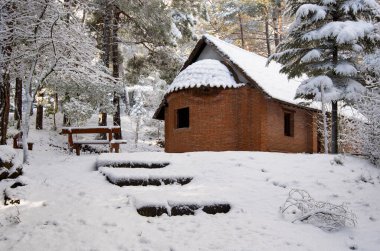 Kış boyunca ormanda karla kaplı küçük bir Hıristiyan şapeli. Panagia plataniotissa Troodos, Kıbrıs