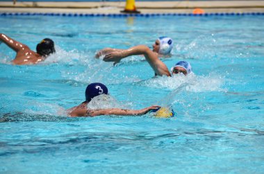 Yüzme havuzunda su topu oynayan sporcular. Sucul sporu. Şampiyonluk yarışması.