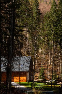 Büyüleyici ahşap kulübe, renkli sonbahar yaprakları ve sık ağaçların arasında güneşleniyor. Dağlardaki yazlık evde.