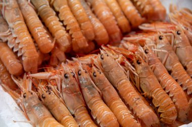 Buzda taze karides. Yerel bir deniz ürünleri pazarında sergileniyor..