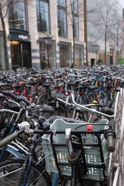 Bir kentsel alanda belirlenmiş bir bisiklet parkında sayısız bisiklet park edilmiştir. Amsterdam Hollanda