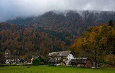 Sis dolu bir sonbahar ormanının üzerinde küçük bir köy, Slovana 'da evleri ve ahırları olan manzaralı dağlık bir arazi.