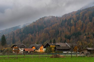 Slovenya 'nın kırsal kesimlerinde, renkli sonbahar ormanı ve sisle kaplı bir dağın altındaki yeşil bir vadide evler ve ahırlar duruyor.