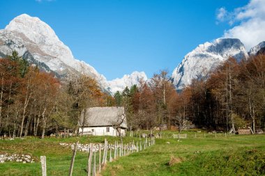 Renkli sonbahar yapraklarıyla çevrili bir vadideki geleneksel bir çiftlik evinin manzarası ve Slovenya 'daki Julian Alplerinin zirveleri.