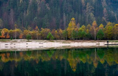 Renkli sonbahar ağaçları sakin bir gölün yüzeyine yansıyor. Fotoğrafçı, Jasna Slovenya Gölü 'ndeki ahşap iskelede duruyor.