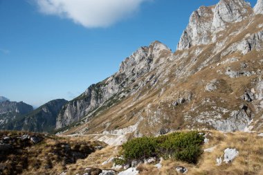 Ön planda kuru çimenler ve kayalar, dağlarda ve mavi gökyüzünde biraz bulut var. Julian Alps slovenia.