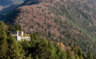 Ford Predel Kalesi 'nin ormandaki harabelerinin manzarası doğanın güzelliğini gösteriyor ve tarihi bir yeri geri istiyor. Slovenya