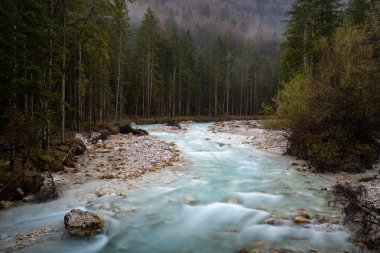 Ormandan akan bir nehir. Triglav Bistrica, Doğa manzarası, Slovenya