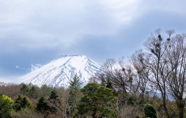 Görkemli Fuji Dağı canlı yeşil bir ormanın üzerinde yükselir ve Japon doğasının güzelliğini gözler önüne serer.