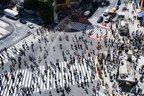 Tokyo, Japonya, 25 Mayıs 2025: Tokyo, Japonya 'nın merkezinde am caddesinden geçen kalabalığın en üst görüntüsü.