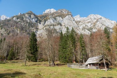 Idyllic manzarası, Julian Alpleri 'nde dağlarla çevrili bir vadide ahşap bir kulübeyi gösteriyor.