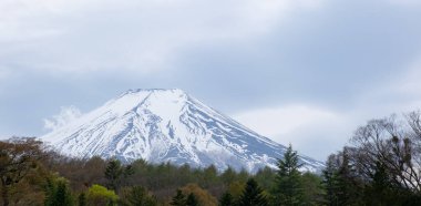 Görkemli Fuji Dağı canlı yeşil bir ormanın üzerinde yükselir ve Japon doğasının güzelliğini gözler önüne serer.
