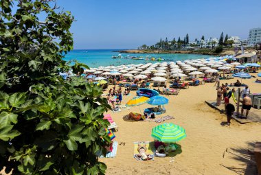PROTARAS, CYPRUS, 8 Haziran 2025: İncir Ağacı 'nın ünlü sahil sahilinde turistler, Kıbrıs' taki Protaras tatil beldesinde tatil yapıyorlar. Sandy egzotik plajı