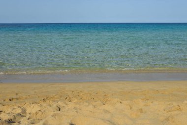 Sakin deniz dalgaları güneşli bir günde kumlu bir sahilde süzülüyor. Sakin deniz manzarası, açık mavi gökyüzü ufukta.