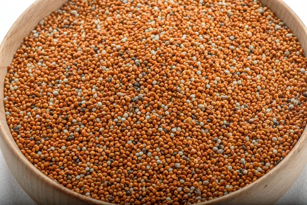 dried grains bird food. Red millet grain. Millets are a highly varied group of small-seeded grasses, widely grown around the world as cereal crops or grains for fodder and human food. Most species generally referred to as millets belong to the tribe